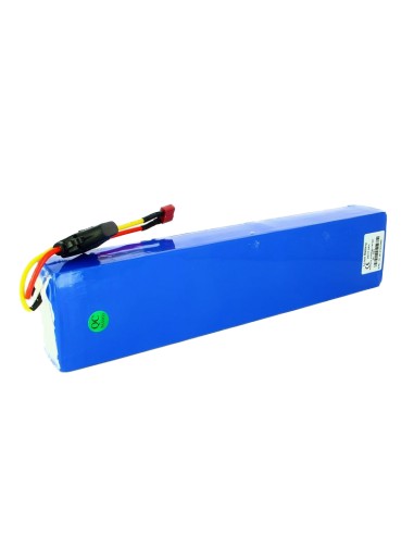 Batterie de trottinette pour le modèle FUNDOT (HB23)- 36V6A - Cdiscount Auto