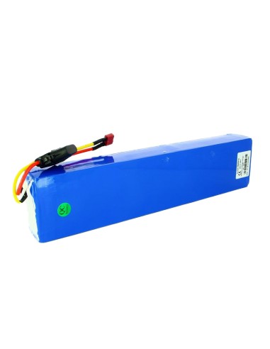 Batterie Draisienne électrique 6Ah 36V pour W5