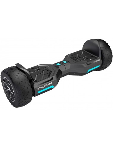 ᐈ Quel hoverboard tout-terrain choisir ⇒ Player Top ®