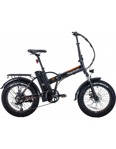 Vélo électrique City Zen pour transport d'enfants