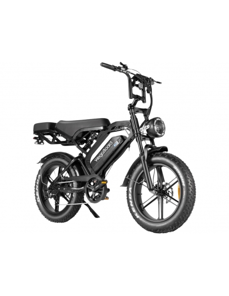 Velo electrique Rover Pro biplace cargo