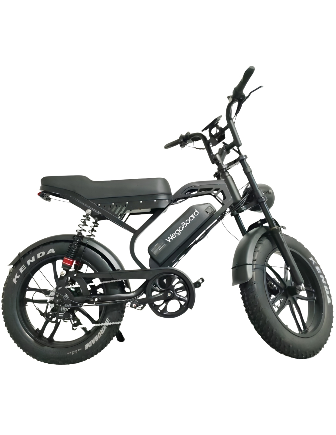 Velo electrique Rover Pro Sport biplace cargo