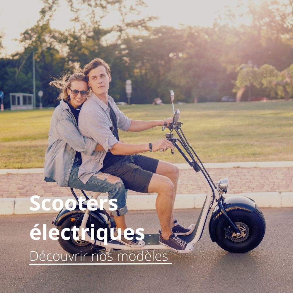 Scooters électriques Wegoboard